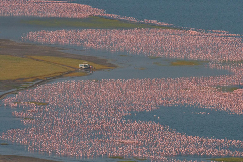 From Nairobi:2-Day Lake Nakuru,Naivasha & Hell’s Gate Safari