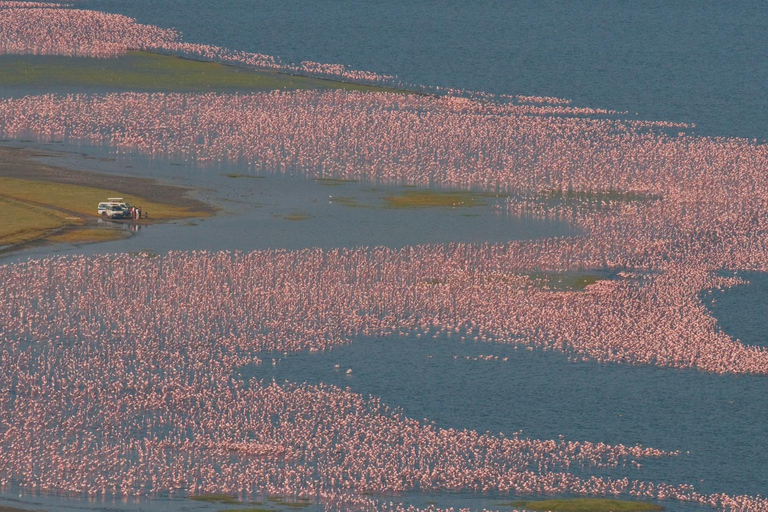 From Nairobi:2-Day Lake Nakuru,Naivasha & Hell’s Gate Safari