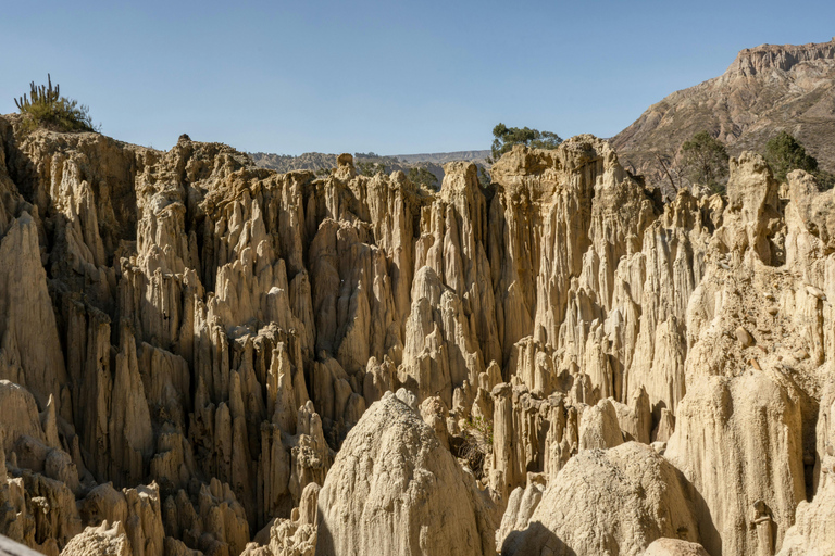 La Paz : visite guidée de la vallée de la Lune avec vue sur les AndesLa Paz: Moon Valley Guided Tour with Andes Views