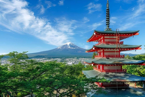 From Tokyo : Mount Fuji Private Day Trip with Hotel Pickup Mount Fuji & Hakone Customize Tour With English Guide