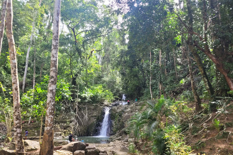 El Nido: Nacpan Beach and Bulalacao Waterfalls Tour