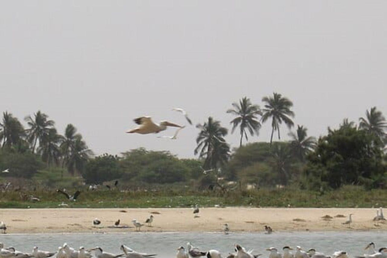 From Dakar: 7-Day Senegal Tour with Gorée Island & Safari