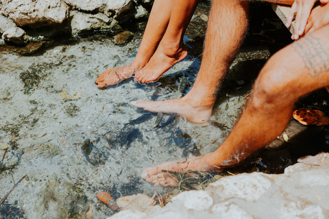 Santa Cruz: Natural Pool & Caves Off-Road Safari