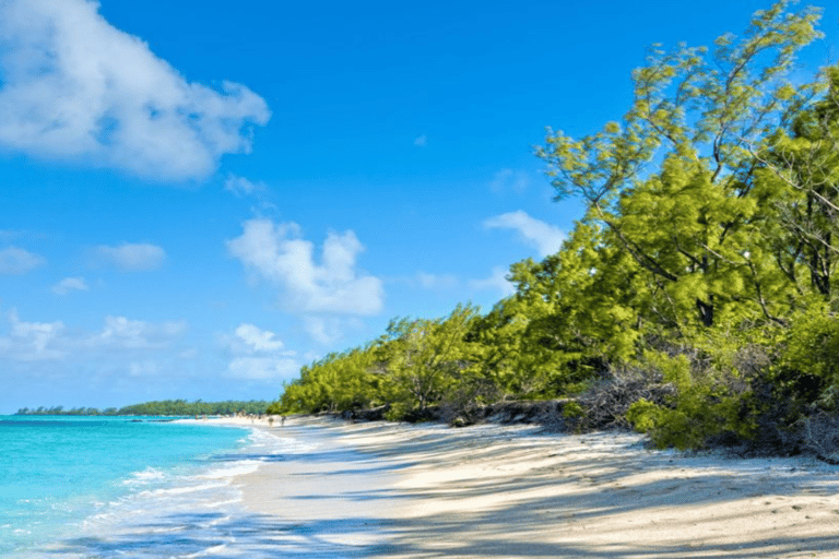 Excursion en catamaran sur l&#039;île aux Cerfs avec déjeuner et boissons illimitées