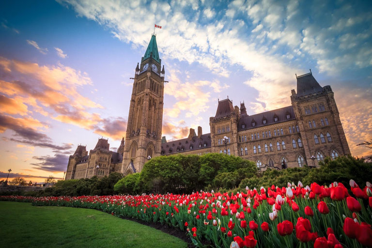 Royal Ontario Museum & Gardiner Museum Private Guided Tour 3-hour: Royal Ontario Museum Tour & Transport
