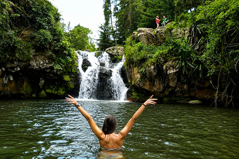 From Arusha: 3-Day Safari & Materuni Cultural Experience
