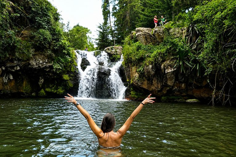From Arusha: 3-Day Safari & Materuni Cultural Experience