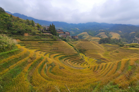 Visite privée sur mesure : 2 jours dans les rizières en terrasses de Longji