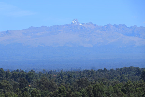 EXCURSIÓN DE UN DÍA AL MONTE KENIA DESDE NAIROBI