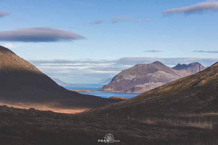 Tromso: Guided Fjord Expedition &amp; Kvaløya Island with Lunch