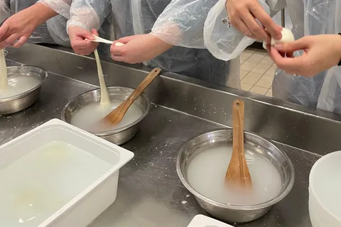 Pisa: Small Group Cheese Making and Tasting Experience