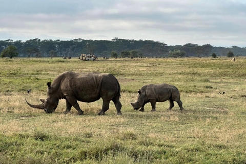 Nairobi: privé 6-daagse Maasai Mara, Nakuru en Naivasha Safari