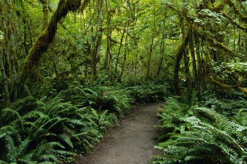 Santa Lúcia: Safi Estate, cascatas e experiência no vulcão