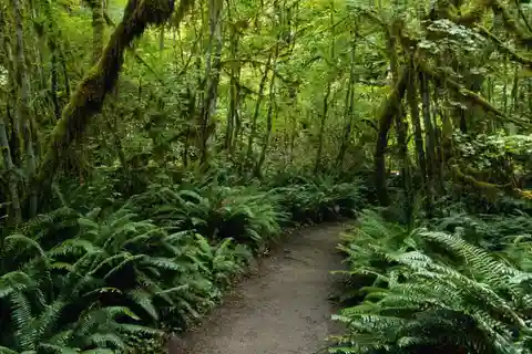 St. Lucia: Safi Estate, Waterfalls and Volcano Experience