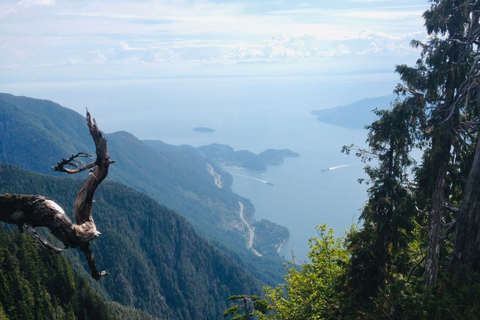 Vancouver: St. Mark's Summit Guided Hike