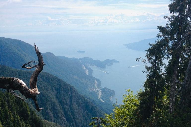 Vancouver: St. Mark's Summit Guided Hike