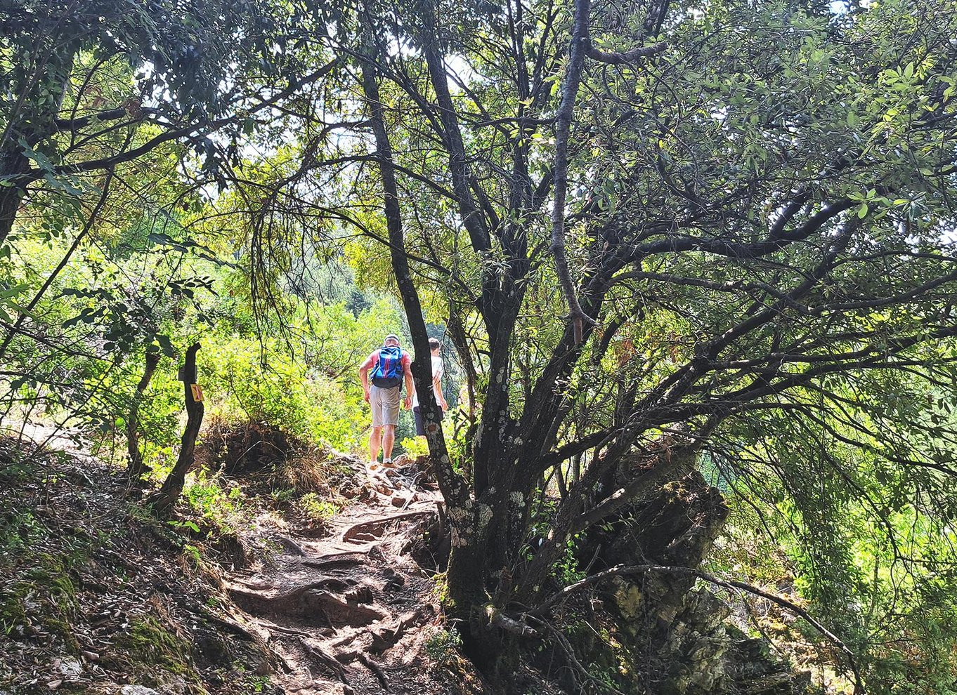 Fra Thessaloniki: Dagsudflugt til Dion og Mount Olympus Park