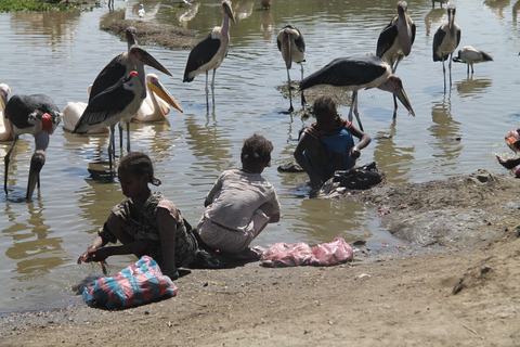 Addis Ababa: 8-Day Bale Mountains Birdwatching Tour