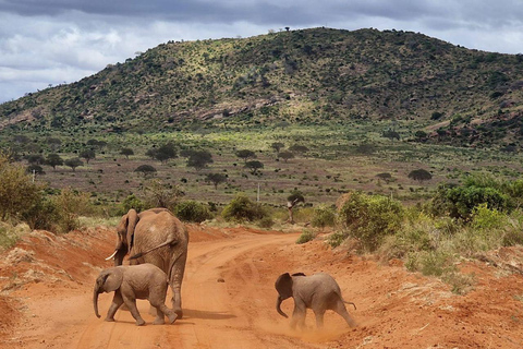 Mombasa/Diani: Taita Hills 2-Day Safari with Meals & Pickup