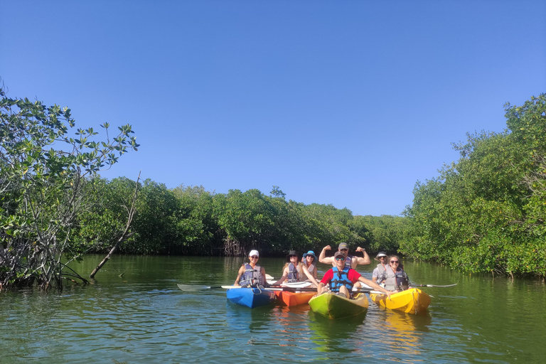 Cancun: 3-uur durende kajaktocht in Nichupte Lagoon