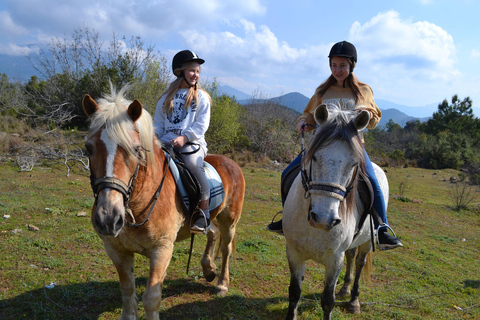 Alanya: Horse Riding Club Transfer Service For West of Alanya:Konaklı, Türkler, Avsalar, Okurcalar area