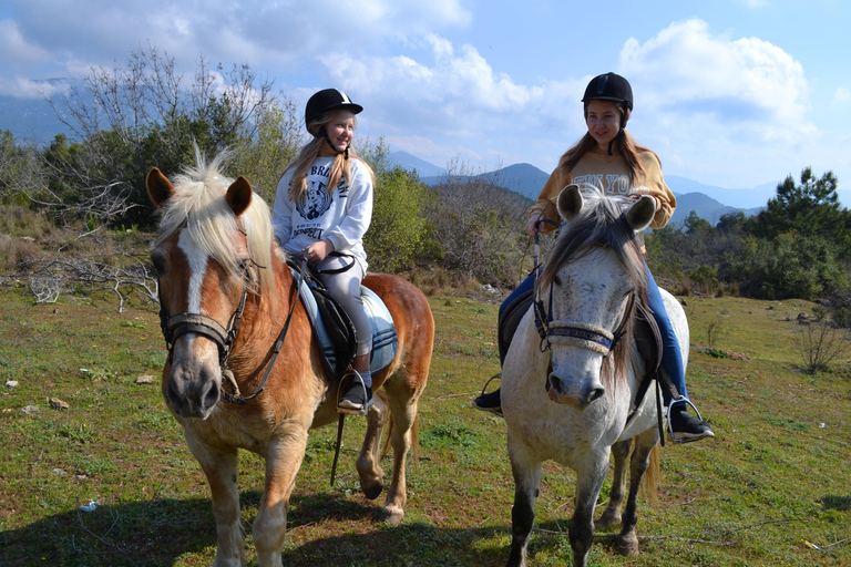 Alanya: Horse Riding Club Transfer ServiceFor Alanya Center Oba Mahmutlar Location