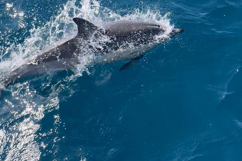 Sotogrande: Sailing, Swimming & Paddleboarding
