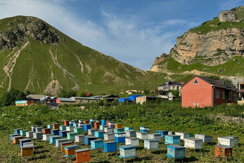 From Kuzun to Laza: Hiking Tour with Waterfalls Adventure