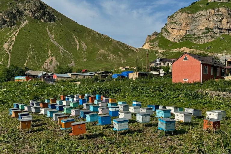 From Kuzun to Laza: Hiking Tour with Waterfalls Adventure