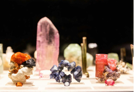 Natural History Museum LA: Entry + Fierce! The Story of Cats Fierce! The Story of Cats Special Exhibition - Weekends