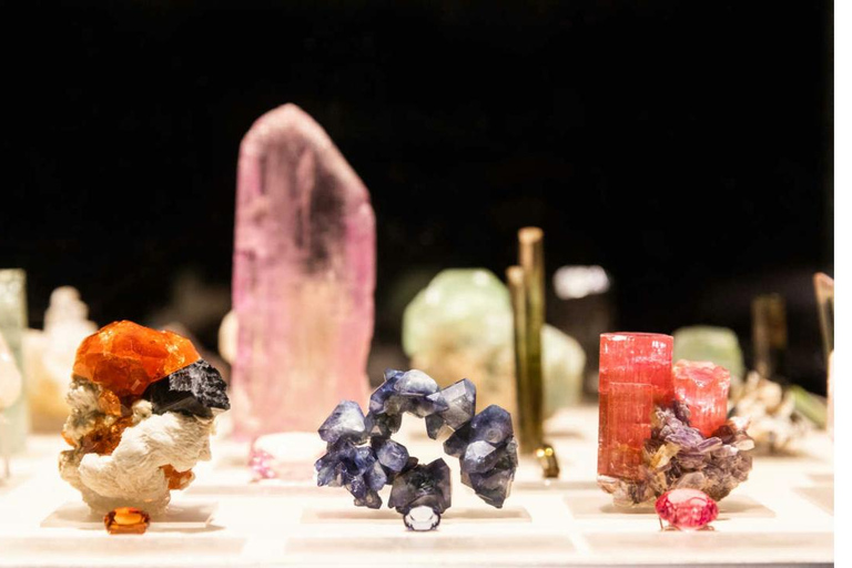 Natural History Museum LA: Entry + Fierce! The Story of Cats Fierce! The Story of Cats Special Exhibition - Weekends