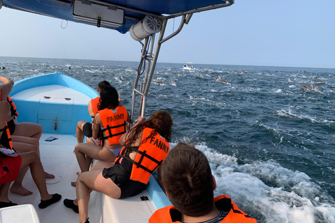 Puerto Escondido: Bootstour zu Delfinen und MeerestierenPrivate Tour