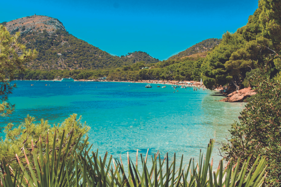 Mallorca: Instafamous Tour van Palma en de noordkust | GetYourGuide