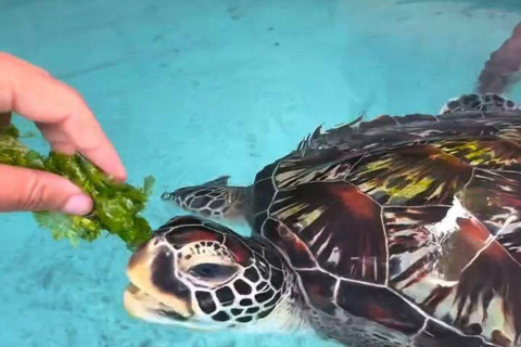 Sansibar: Kombi-Tour zum Jozani-Wald und zur Salaam-Höhle