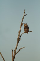 Panorama Route - Housity