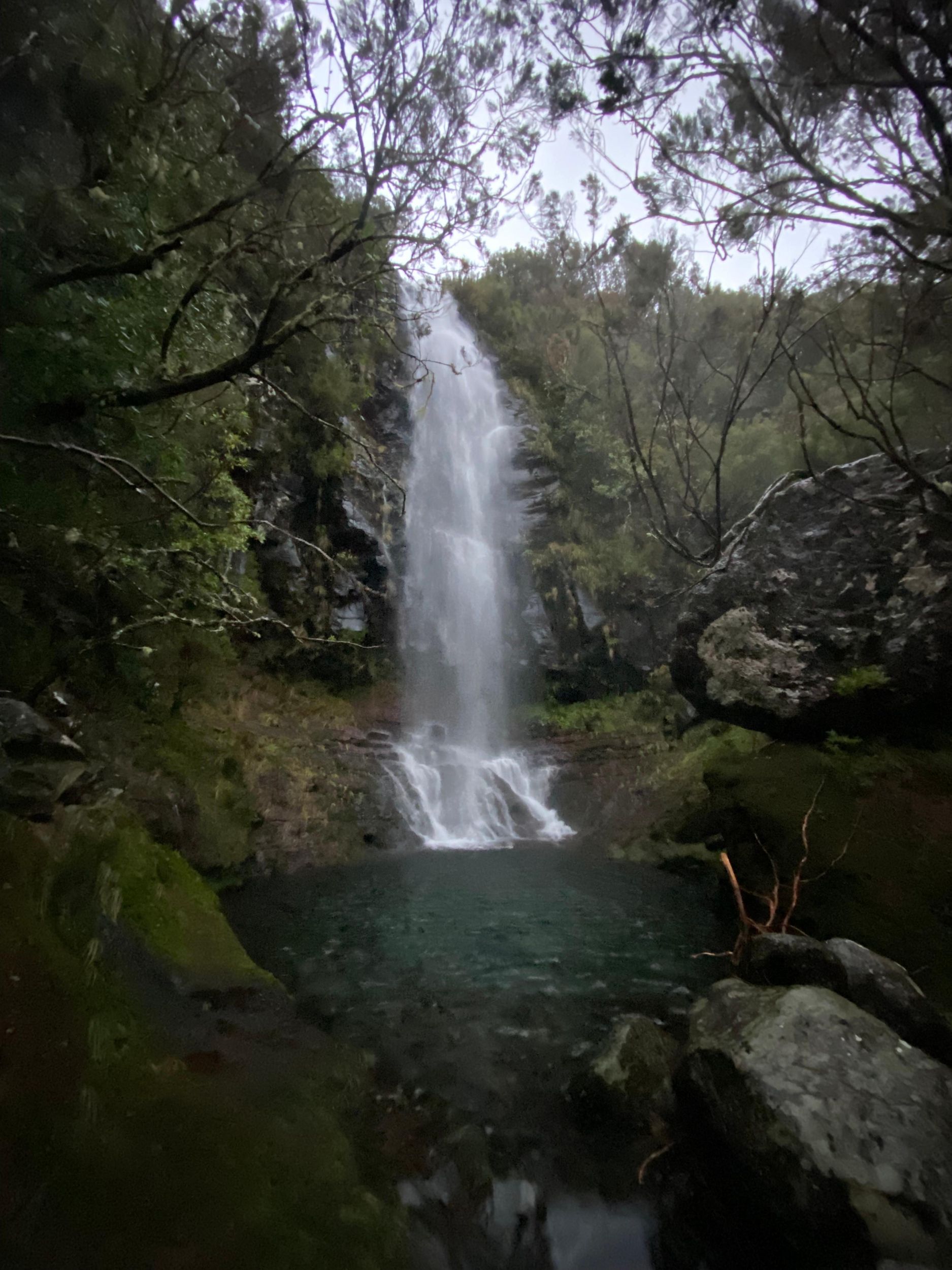 Insel Madeira: Private Wandertouren – Wähle deine Wanderung (15 Wanderungen)