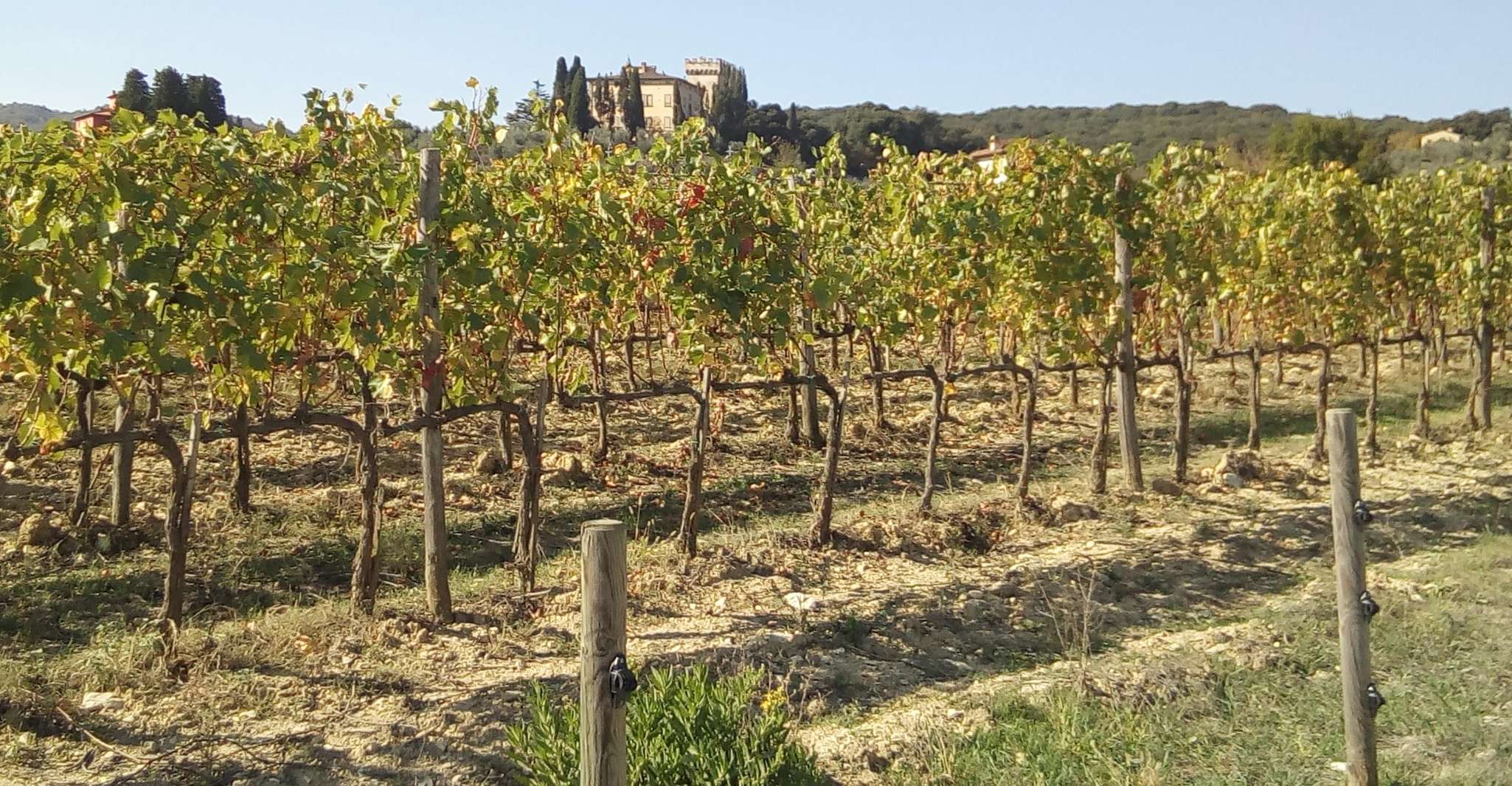 Florence: Horseback Riding Tour with Wine Tasting & Transfer photo 3