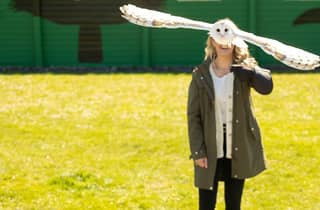 Von Dublin aus: Cliffs of Moher, Bird of Prey & Aillwee Cave