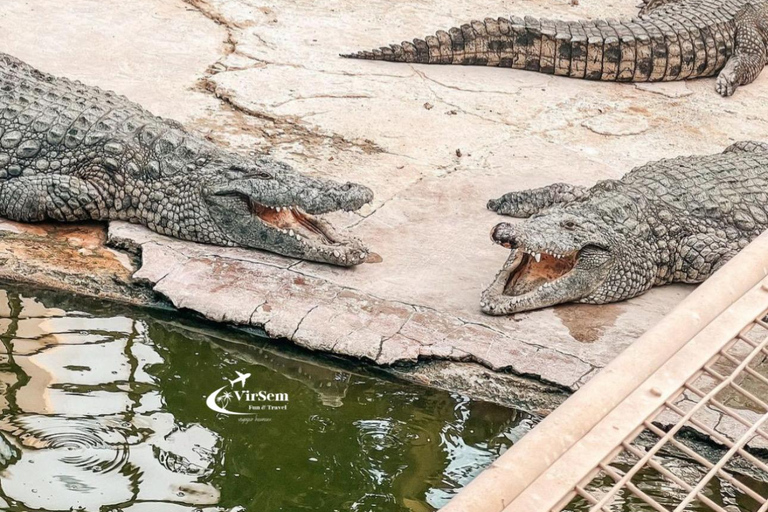 Djerba / Crocodile Farm visit with pick-up