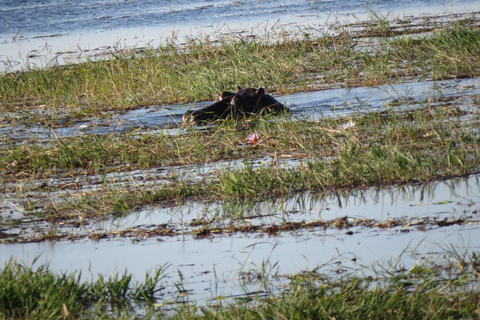 Hwange National Park & Victoria Falls 4-Day Safari Tour