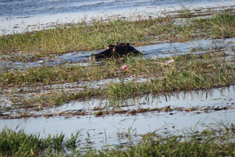 Hwange National Park & Victoria Falls 4-Day Safari Tour