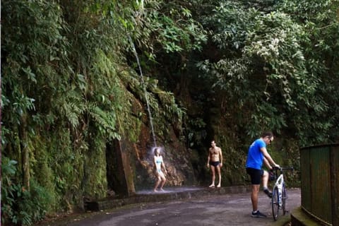 Rio de Janeiro: Tijuca Forest Tour with Transfer