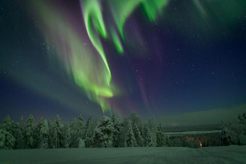 Saariselkä: Auroras Northern Lights Viewing & Photographing