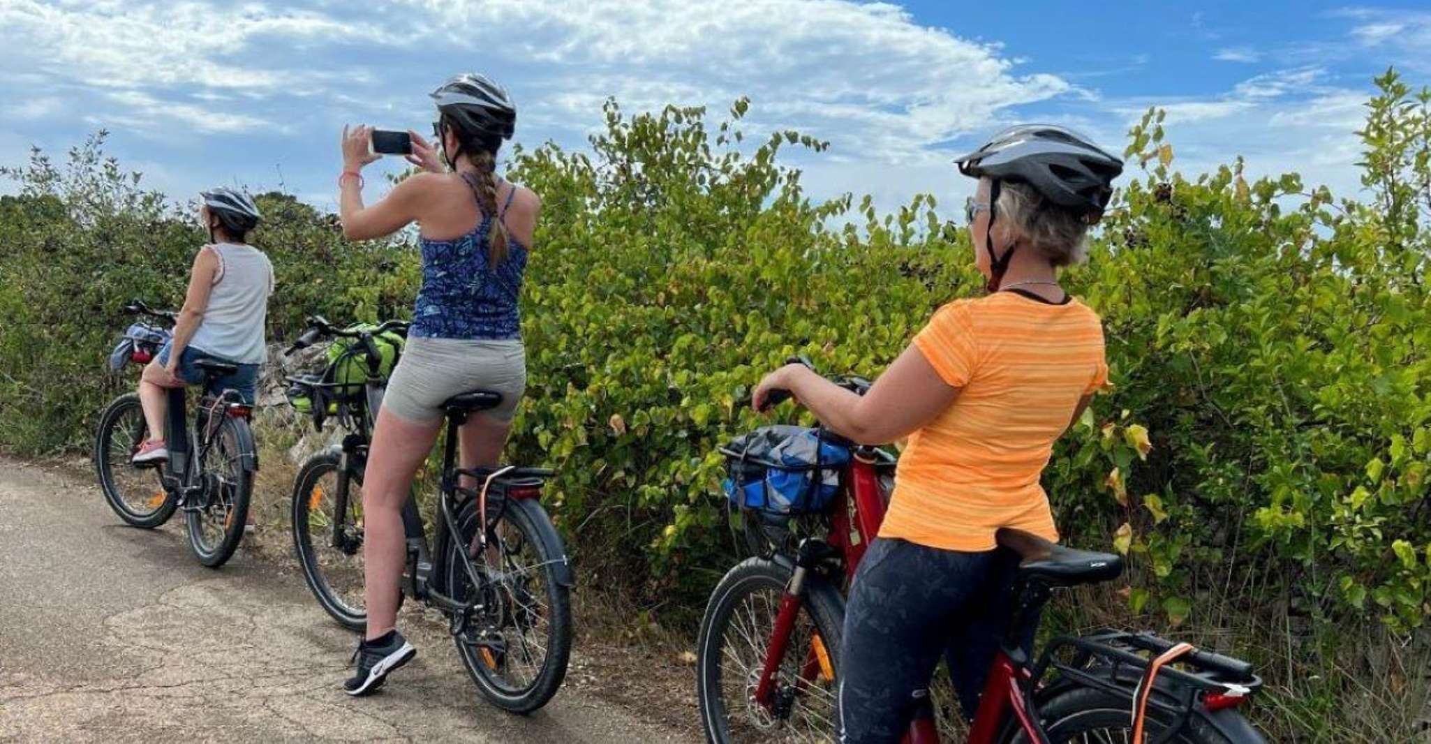 Gioia del Colle: Primitivo Wine & E-Bike Ride