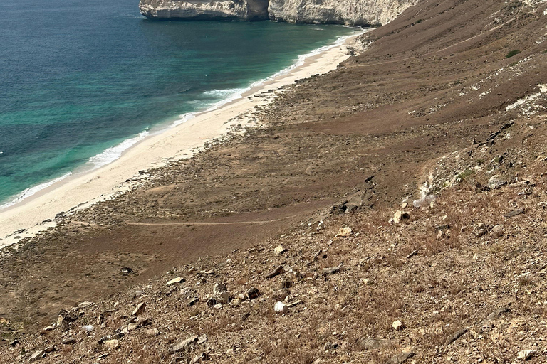 Caribian Orient (simning vid Fazayeh-stranden)