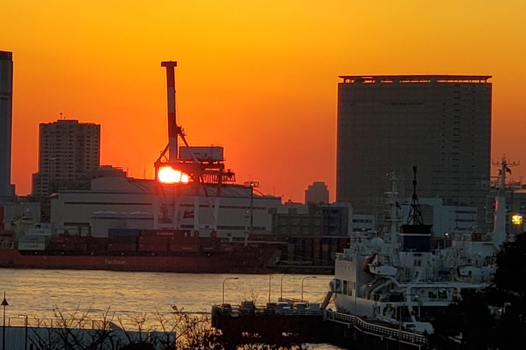 Visite privée de Tokyo