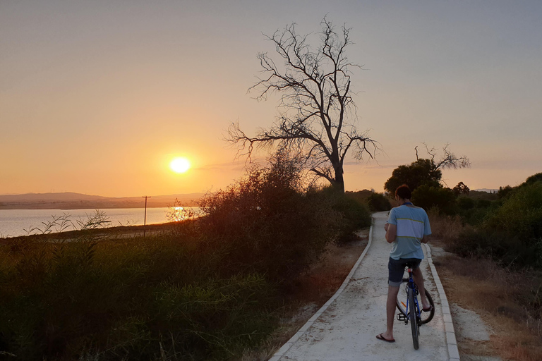 Larnaca: Salt Lake & Cultural Highlights Guided Bike Tour