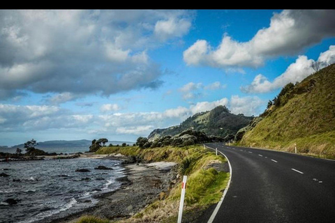 Auckland: Hidden Gem Coromandel& Cathedral Cove Private Day
