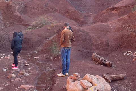 Montpellier: Celles, Capitelles & Local Wine Tasting Tour