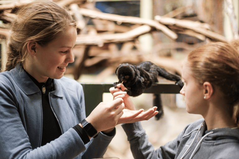 Bilet jednodniowy do zoo w Schwerinie
